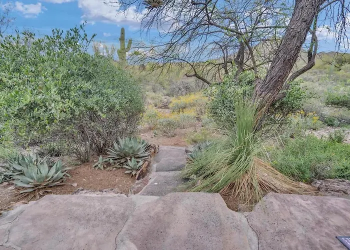 Starr Pass Retreat Tucson